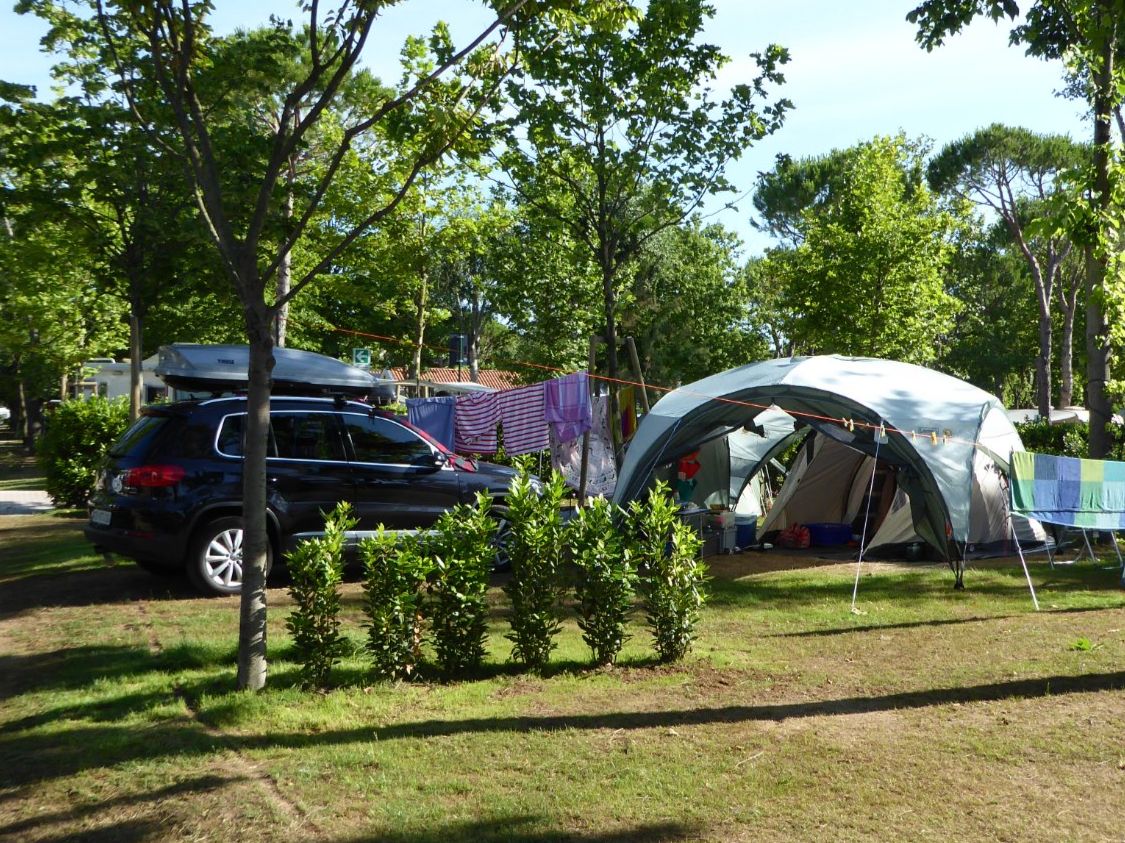 Coleman Tende & Padiglioni: Coleman Pavillon Event Shelter – Usato da Hinteregg venduto da gtr_6xc7