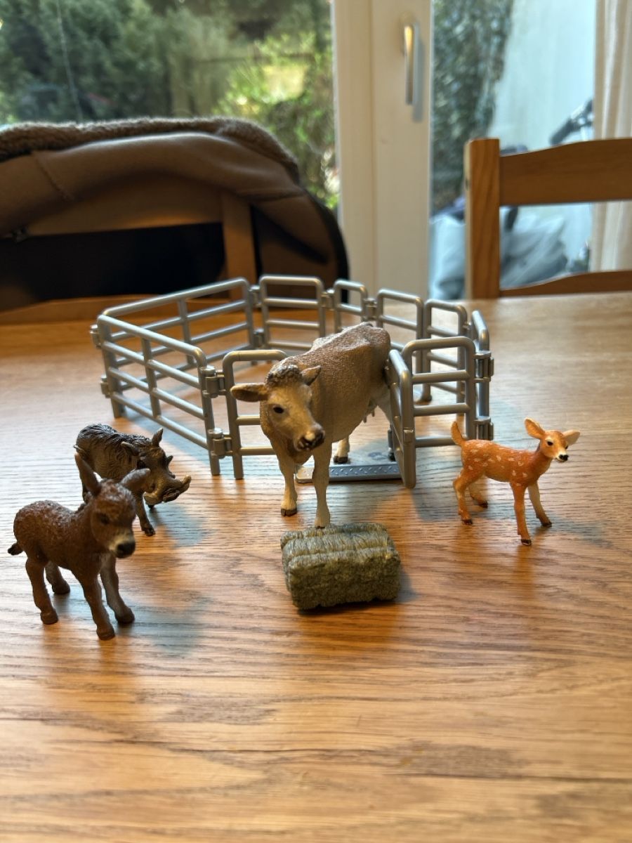 Schleich Giocattoli: Schleich Set, Top Zustand – Usato da Oberrieden venduto da Mikleve 1