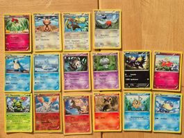 Pokémon Vintage 16 Karten-Lot (2014) – XY Flashfire DE