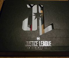 DC Justice League T-Shirt Box - Limited Edition (Größe L)