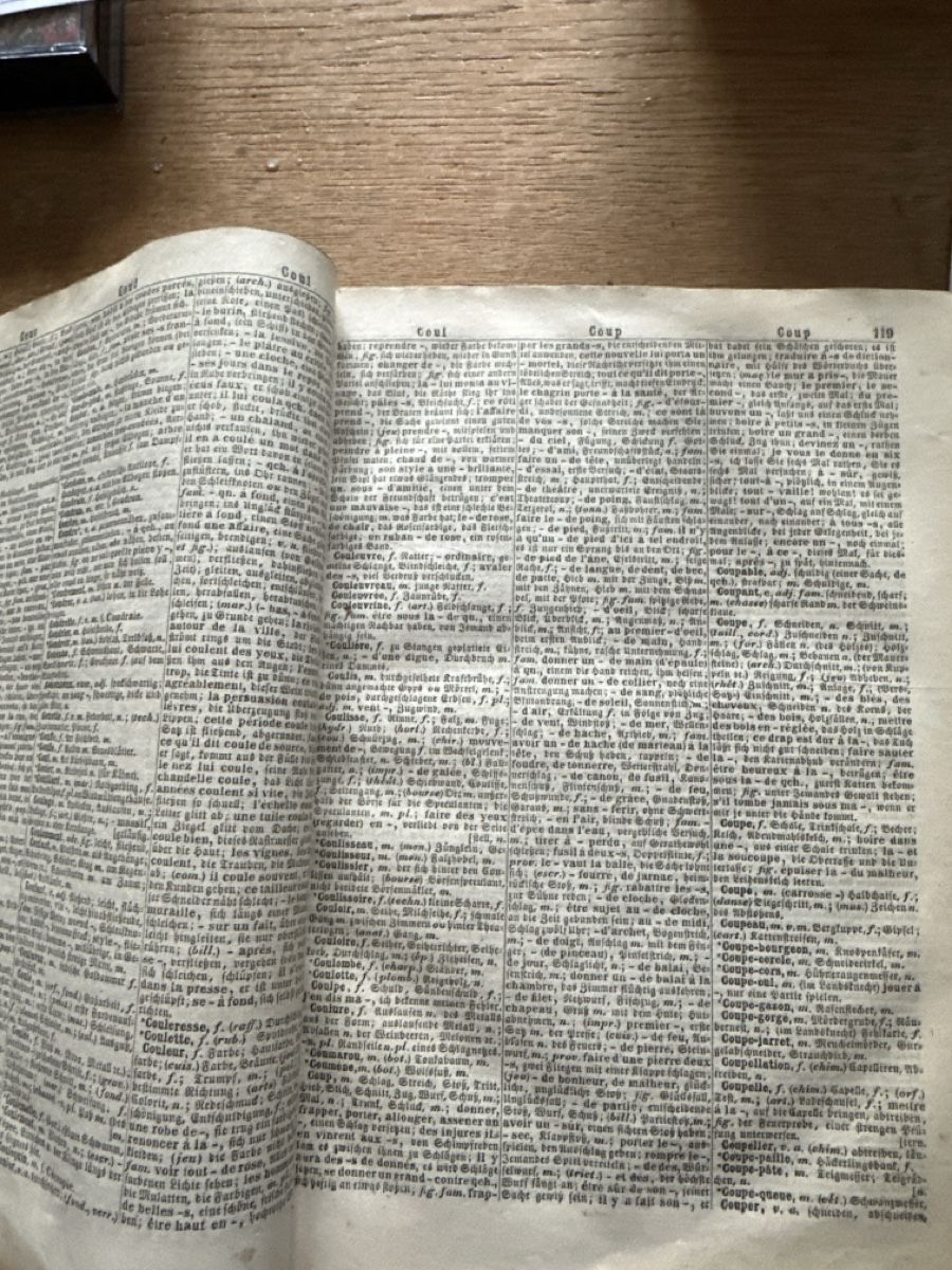 Libri: Antikes Wörterbuch 1863 – Usato da Trüllikon venduto da angela4444 6