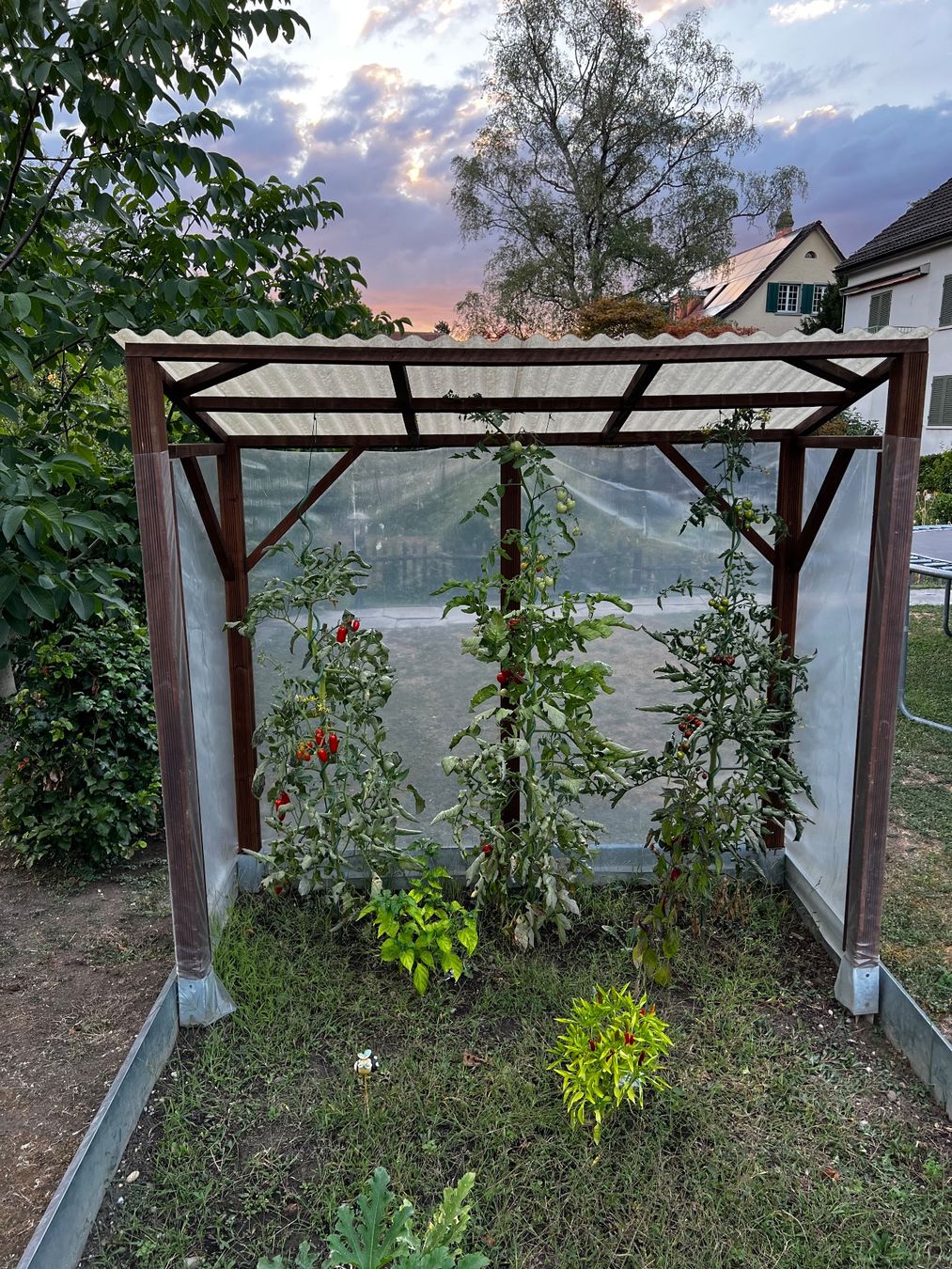 Zäune: Gartenbeet Unterstand Schneckenzaun – Gebraucht aus Winterthur von Creek3 2
