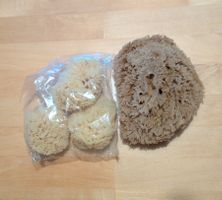 Naturschwämme Set, 3 kleine (NEU), 1 grosser