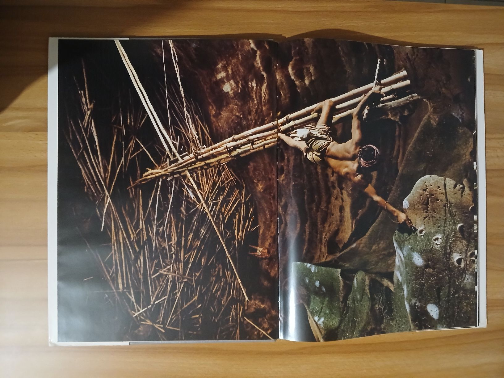 Libri: Chasseurs des Ténèbres – Usato da Le Sentier venduto da arc_2thy 7