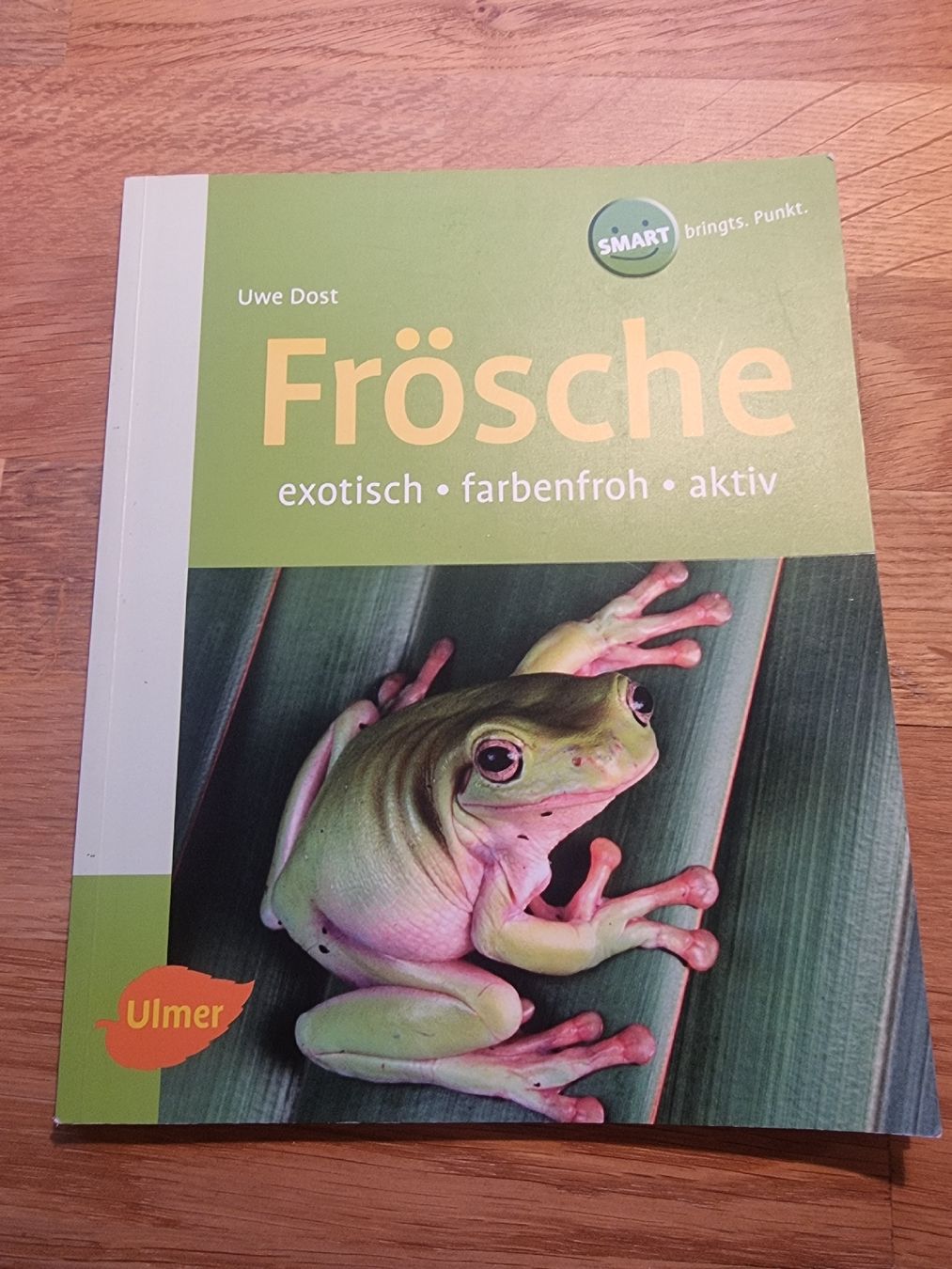 Libri: Frösche: exotisch, farbenfroh, aktiv – Nuovo (secondo la descrizione) da Derendingen venduto da Sarah.jana