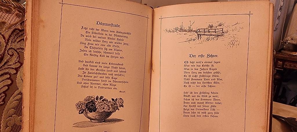 Libri: Antikes Buch von 1900 – Usato da Kaufdorf venduto da Nati-Nati 4