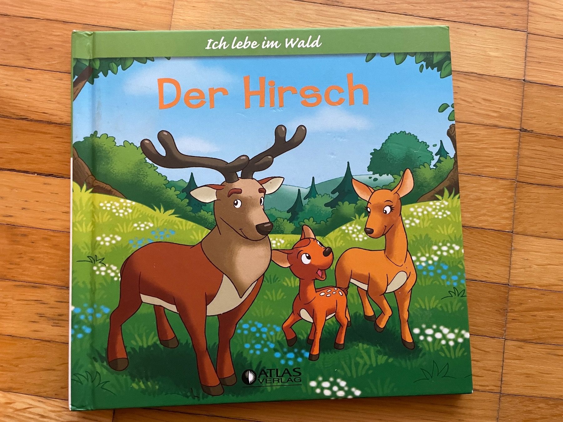 Bücher: Buch - Ich lebe im Wald - Der Hirsch – Gebraucht aus Neftenbach von Justine76