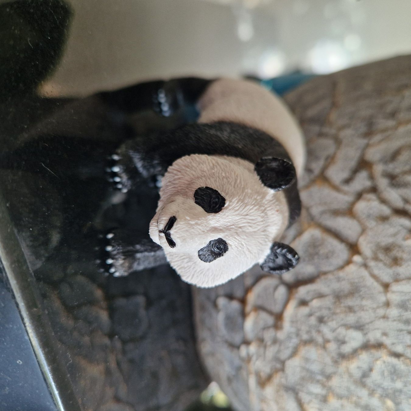 Schleich Figuren: Schleich Junges Panda, neuwertig – Neu (gemäss Beschreibung) aus Gränichen von sunchi07 2
