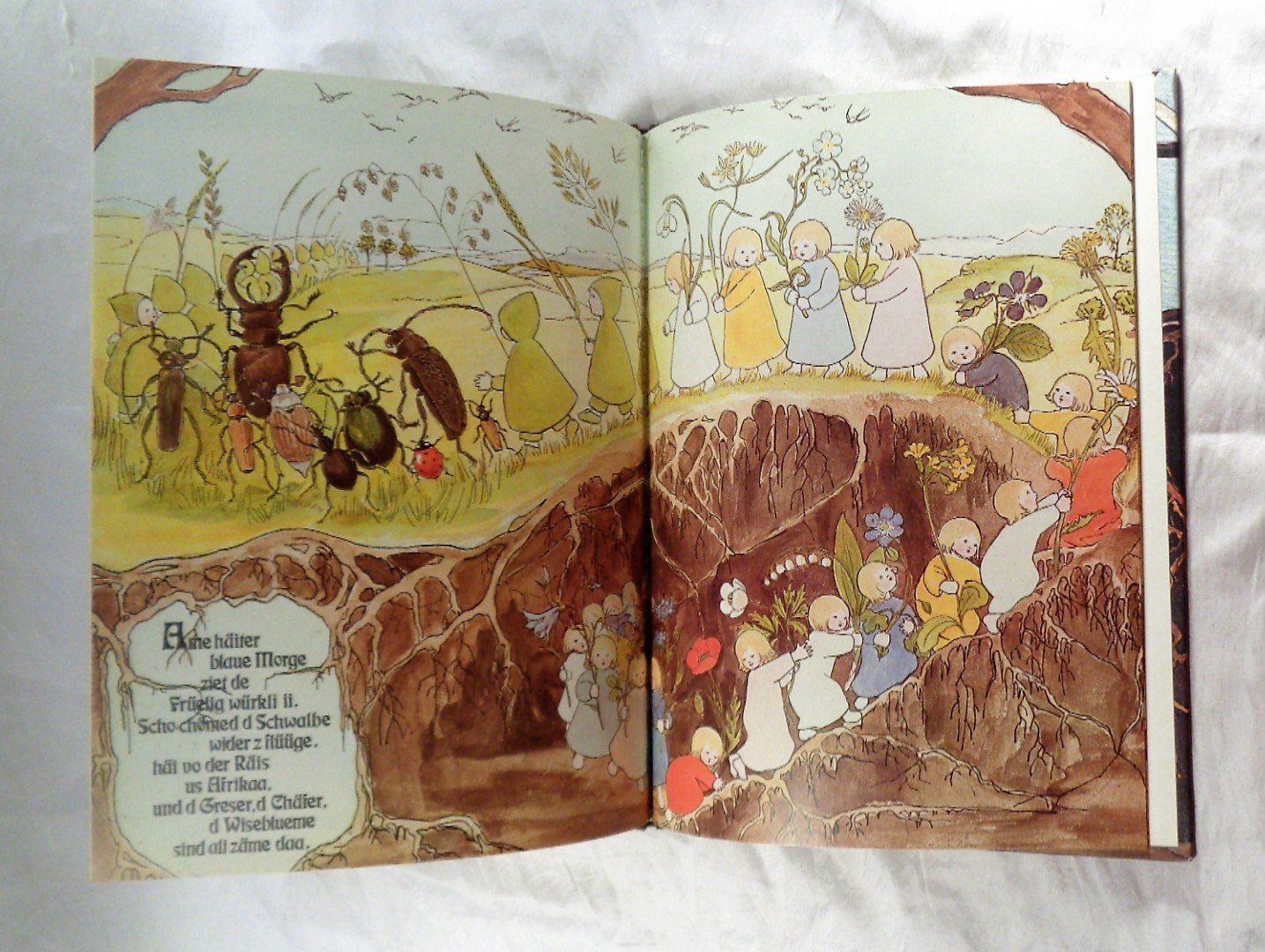 Libri: Wurzelkinder Schweizerdeutsch / Bilderbuch ab Fr. 10.- – Usato da Bellach venduto da JingleJerry 2