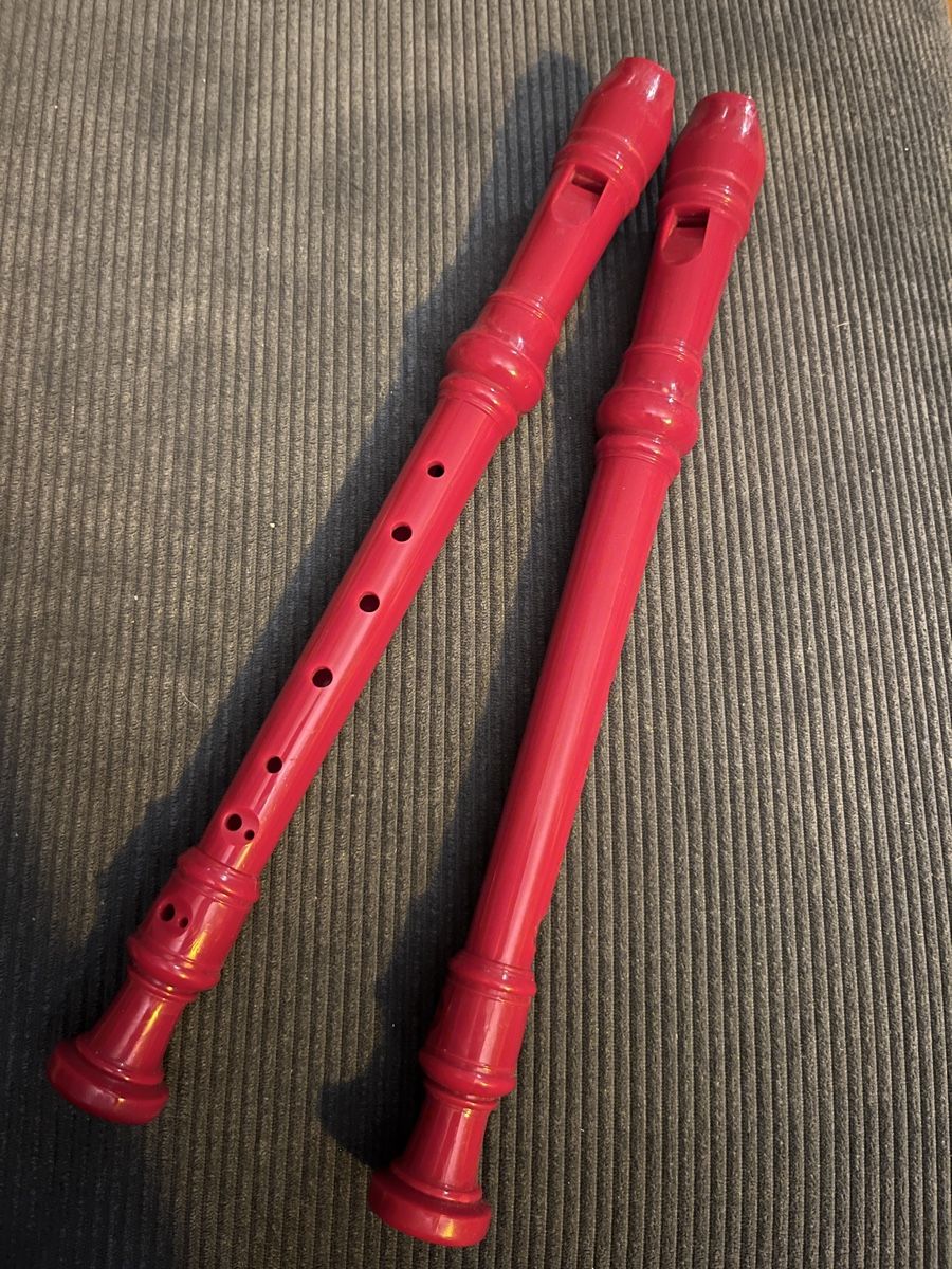Strumenti musicali: Blockflöte aus Kunststoff rot – Usato da Bremgarten AG venduto da hoko16