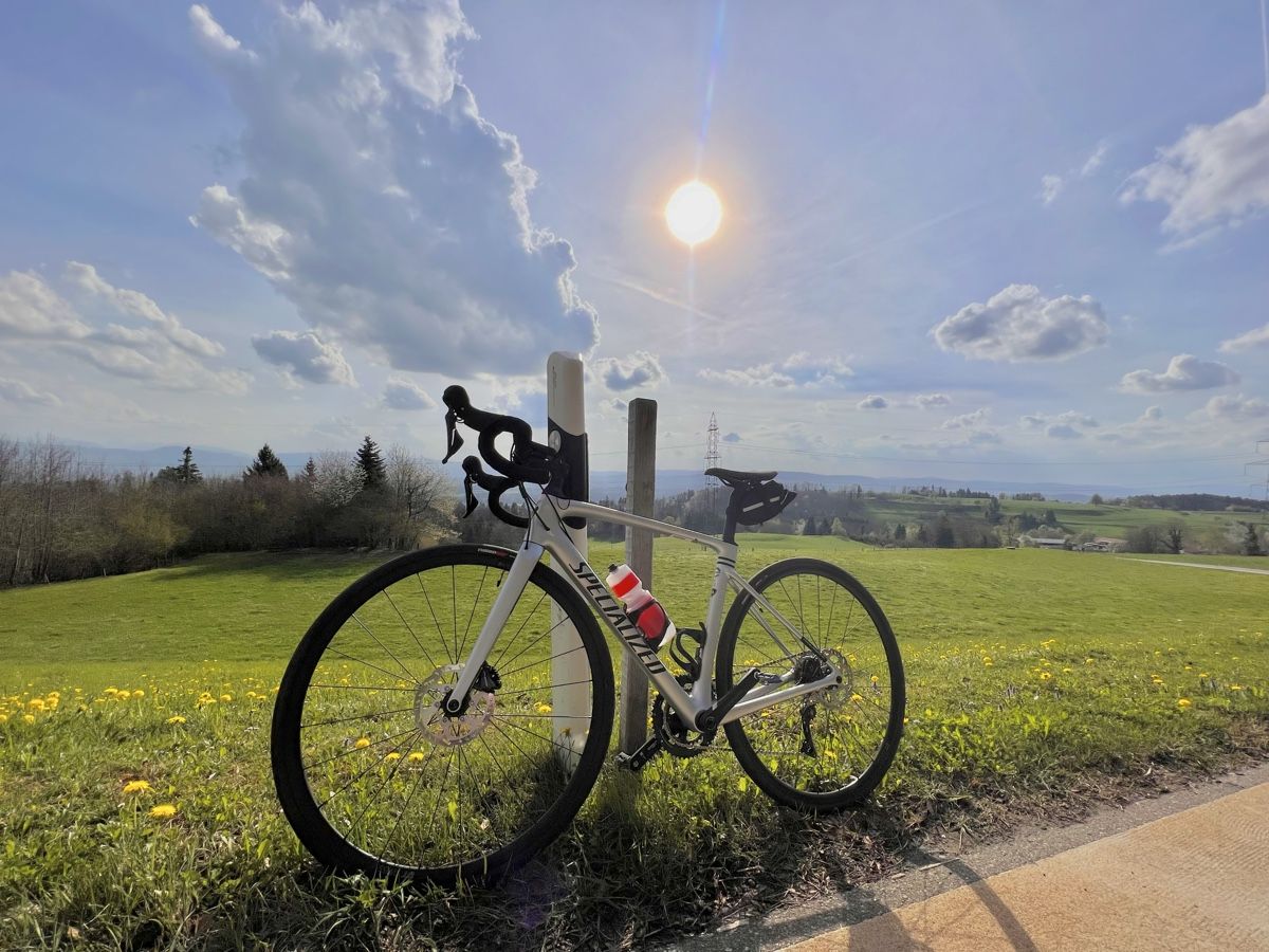 Specialized Biciclette: Specialized Roubaix – Usato da Wetzikon ZH venduto da enf_t9kl 5