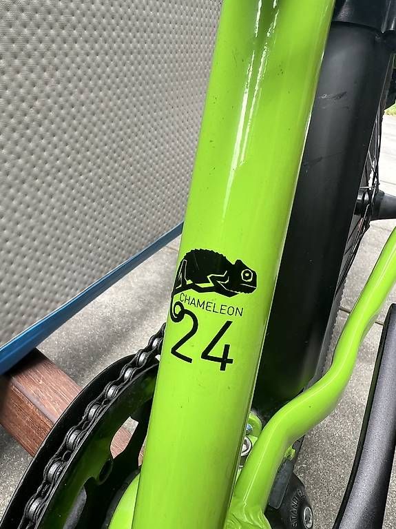 Biciclette: Naloo Chamäleon 24'' – Usato da Wetzikon ZH venduto da Keller.Susanne80 1