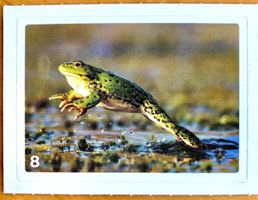 Migros Nature Detectives - Bild Nr. 8