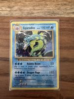 Gyarados Holo - XY Evolutions (34/108) EN