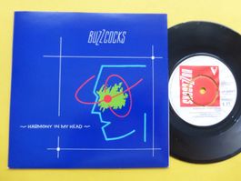 Buzzcocks – Harmony In My Head