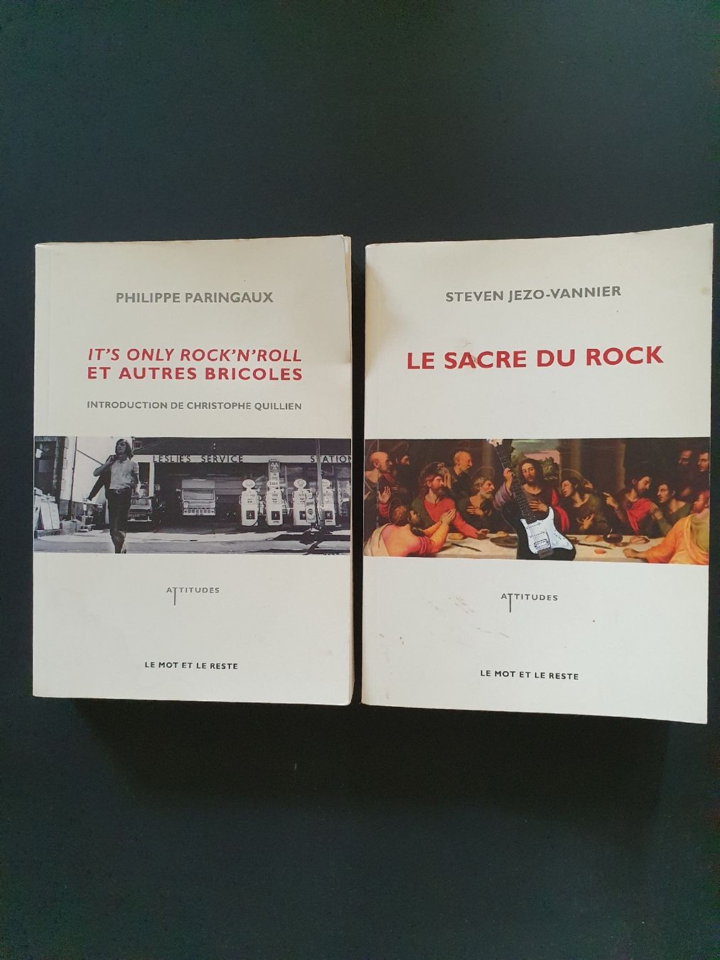 Libri: 2 livres rock – Usato da Les Brenets venduto da SBO56
