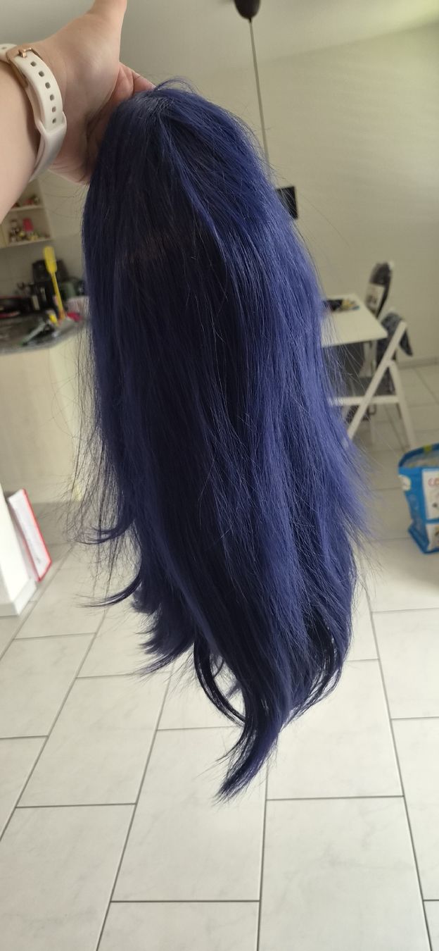 Kostüme: Caitly Cosplay L with Wig – Gebraucht aus Gossau SG von Zwillingscos 2