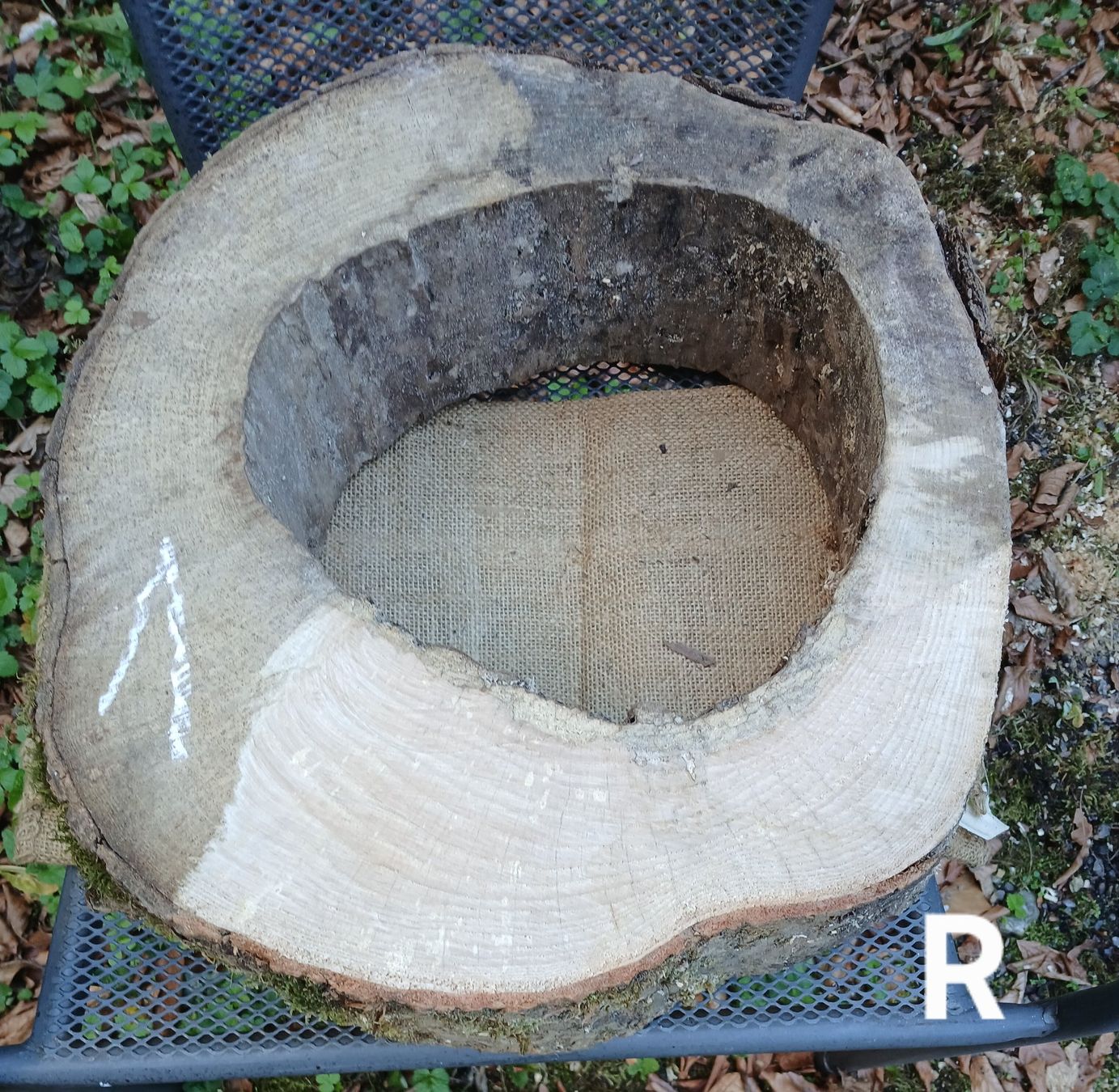 Holzartikel: Baumscheibe Natur hohl, roh >  B1 – Gebraucht aus Bilten von Archiv55 2