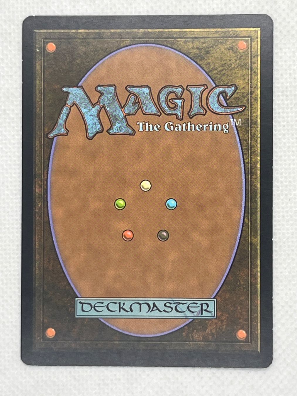 Magic The Gathering Carte collezionabili: MTG Domestication M14 053 Englisch Rare – Usato da Hinterkappelen venduto da Kim1992 1