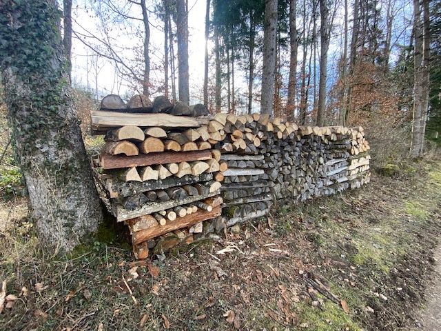 Articoli in legno: Brennholz (gemischt) – Nuovo e nell'imballaggio originale da Zuzwil BE venduto da habrio 1