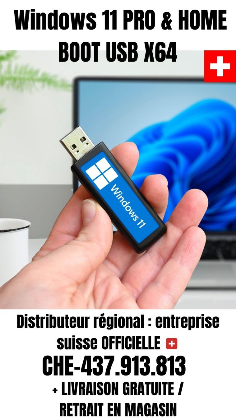 Microsoft Applications: 🟢 BONNES AFFAIRE: WINDOWS 11 PRO & HOME BOOT USB | Français – Neuf avec emballage d'origine à Rorschacherberg par LuksPCs