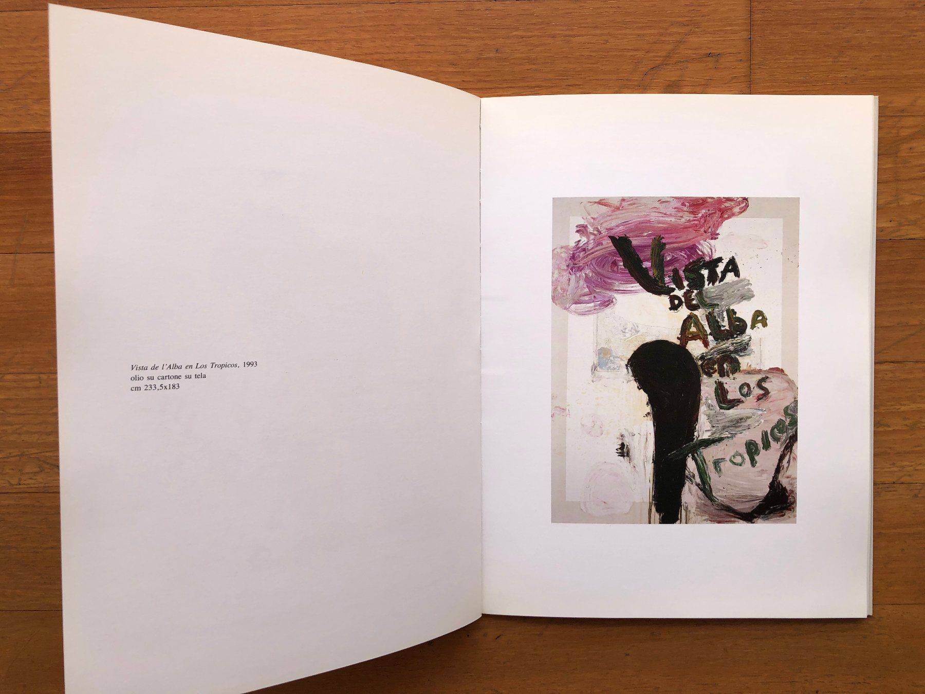 Bücher: Kunst Buch: JULIAN SCHNABEL - Opere Recenti – Gebraucht aus Lugano von gio.yo 6