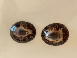 Coupelles d'allaitement "coquilles d'argent" en coquillage