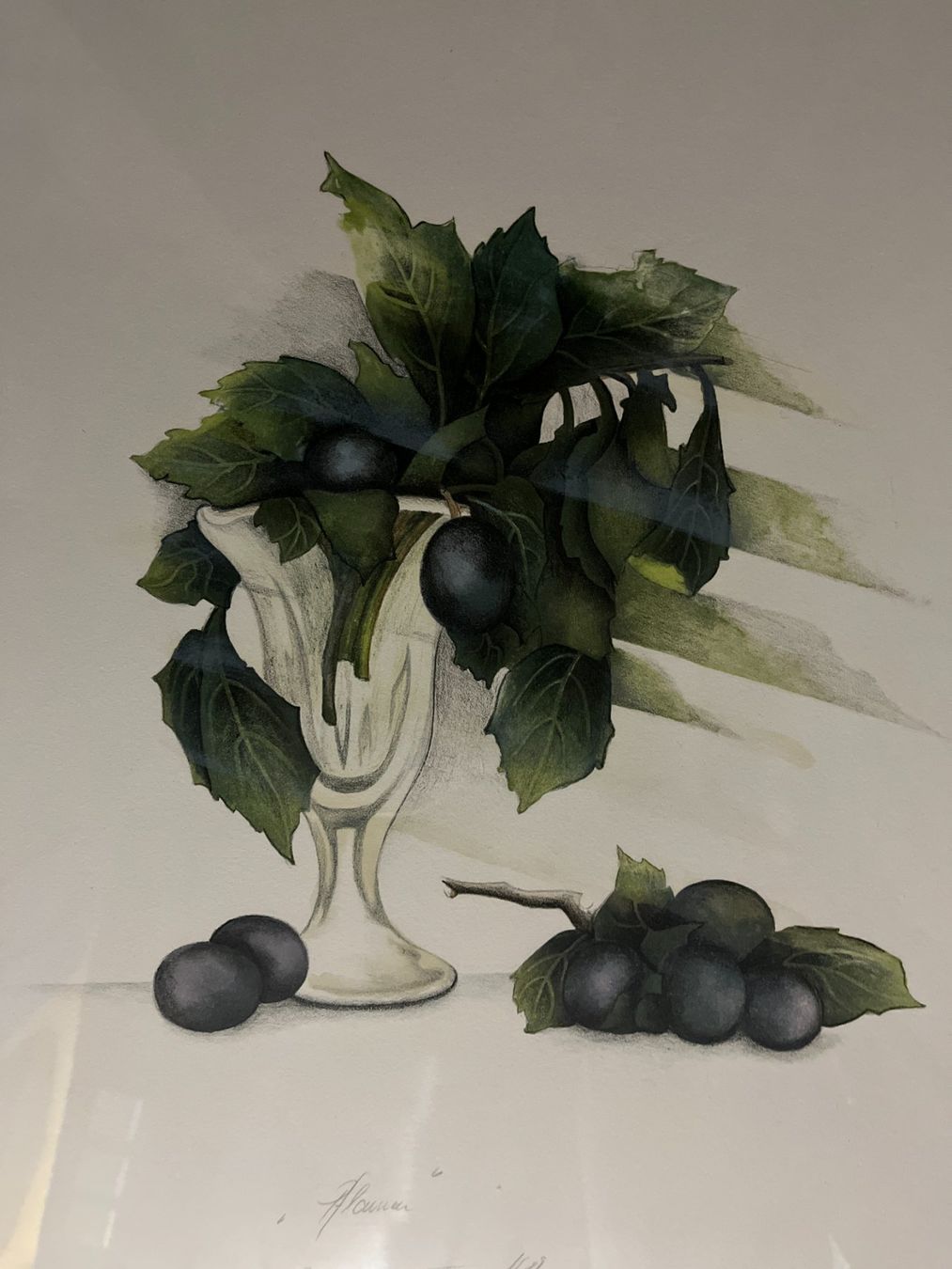 Grafica & Litografie: Litho von Susanne Hartmann, "Pflaumen" – Usato da Bern venduto da cubus01 1