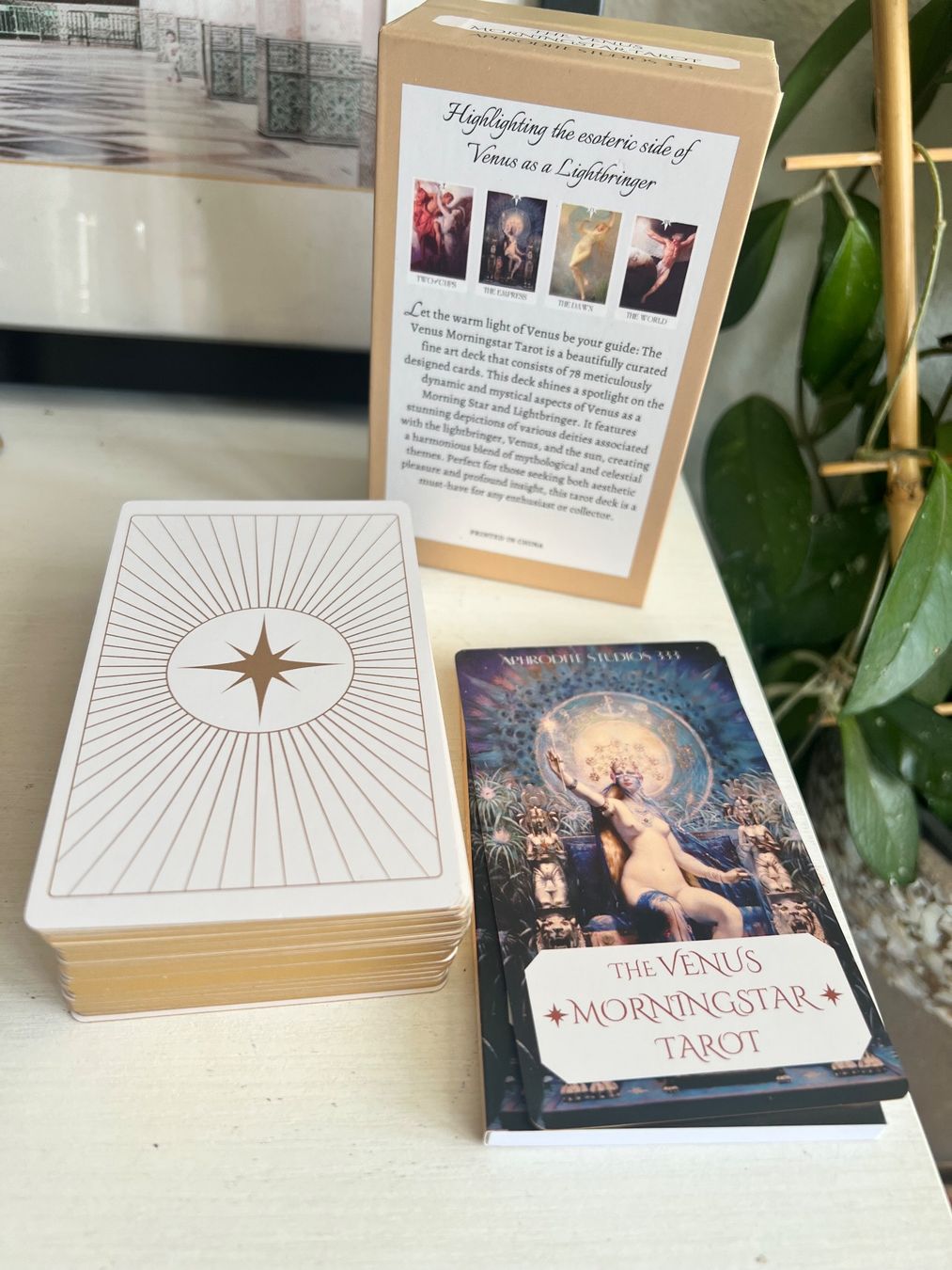 Giochi: Venus Morningstar Tarot Karten Deck – Nuovo (secondo la descrizione) da Effretikon venduto da YaMn 2