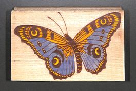 Sommervogel Stempel 🦋 KREATIVA. Holzmontierter Gummistempel