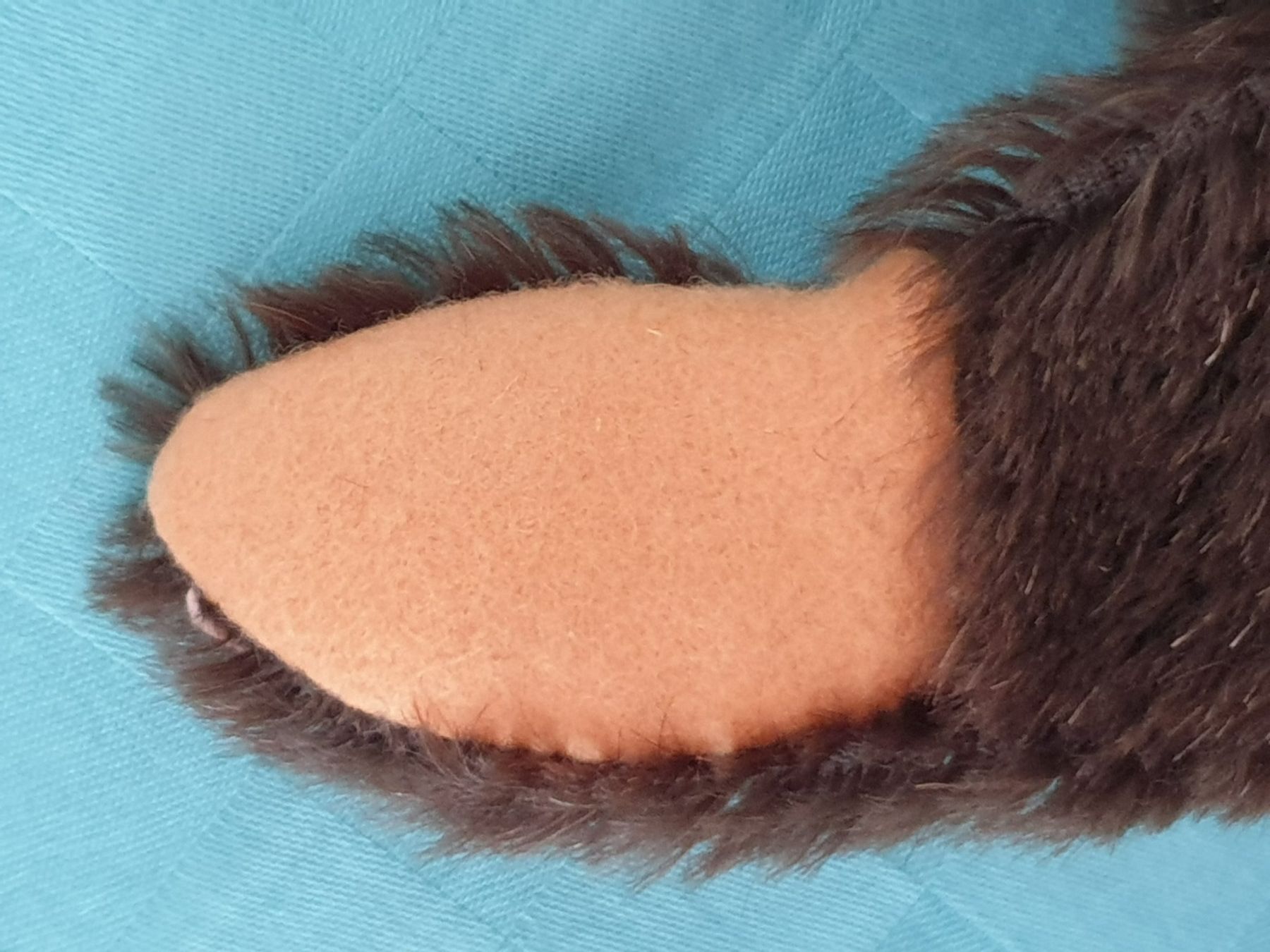 Statuette: Bär Handpuppe STEIFF – Usato da Mörschwil venduto da spirspi 5