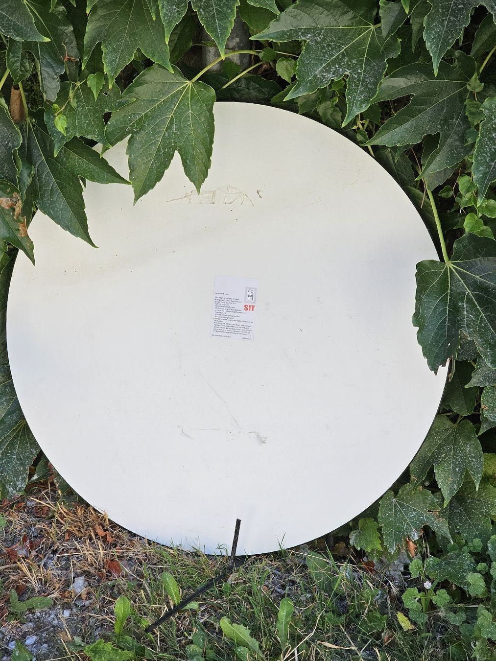 Servierplatten: Schweizer Tischplatte – Gebraucht aus Meisterschwanden von Hummer21 1