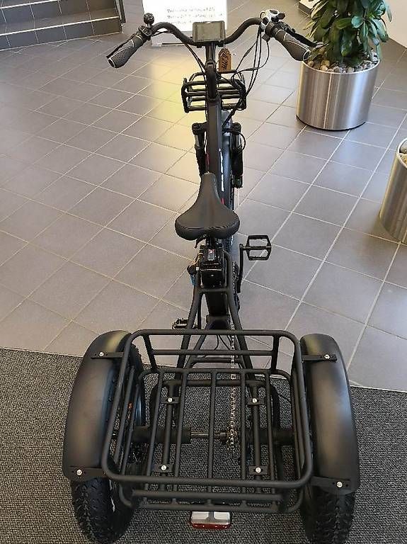 Biciclette: Dreirad EBike – Usato da Lyssach venduto da Hoferbike 2
