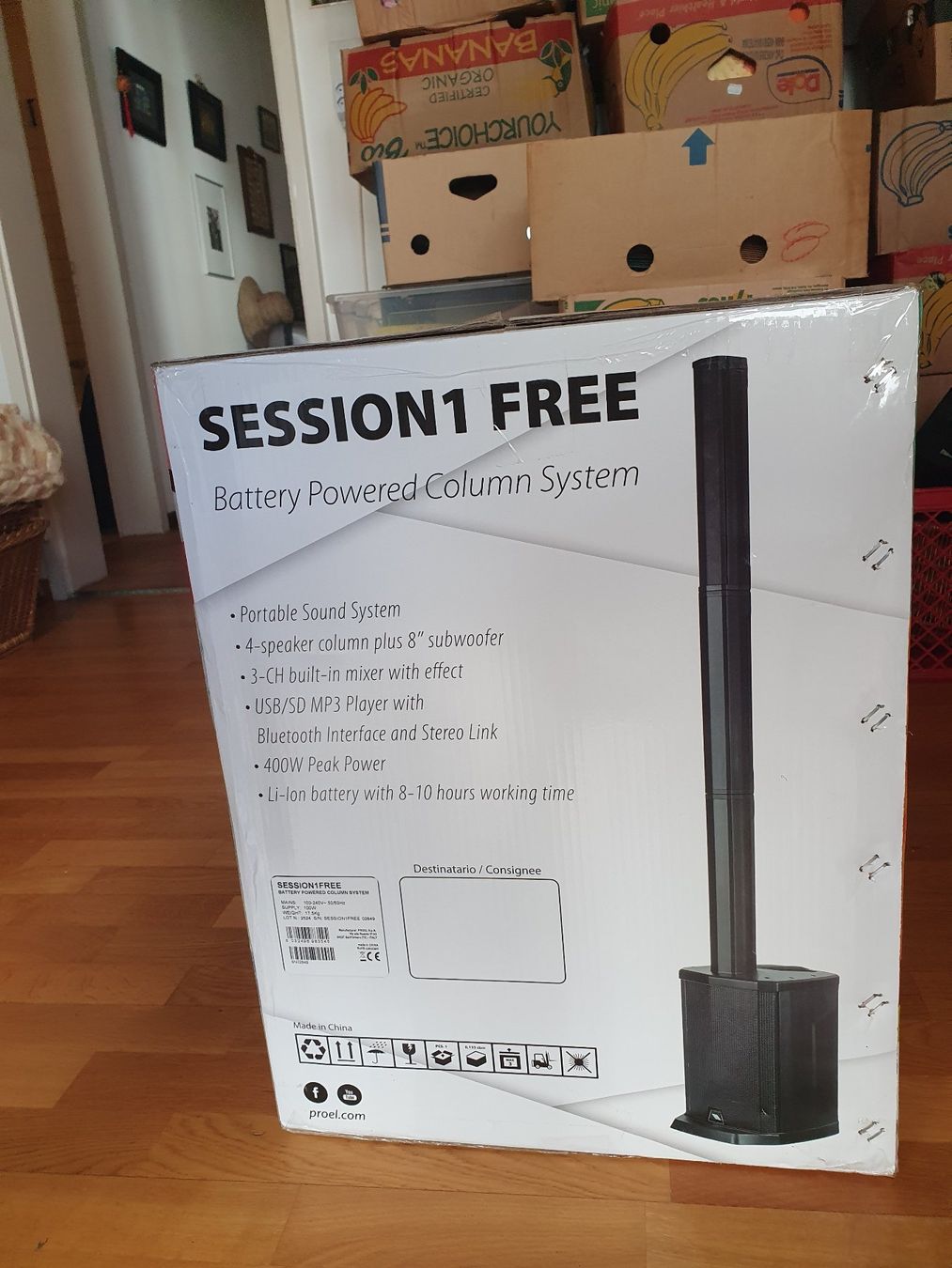 Amplificatori: Proel Session 1 Free – Usato da Zürich venduto da loosebone 1