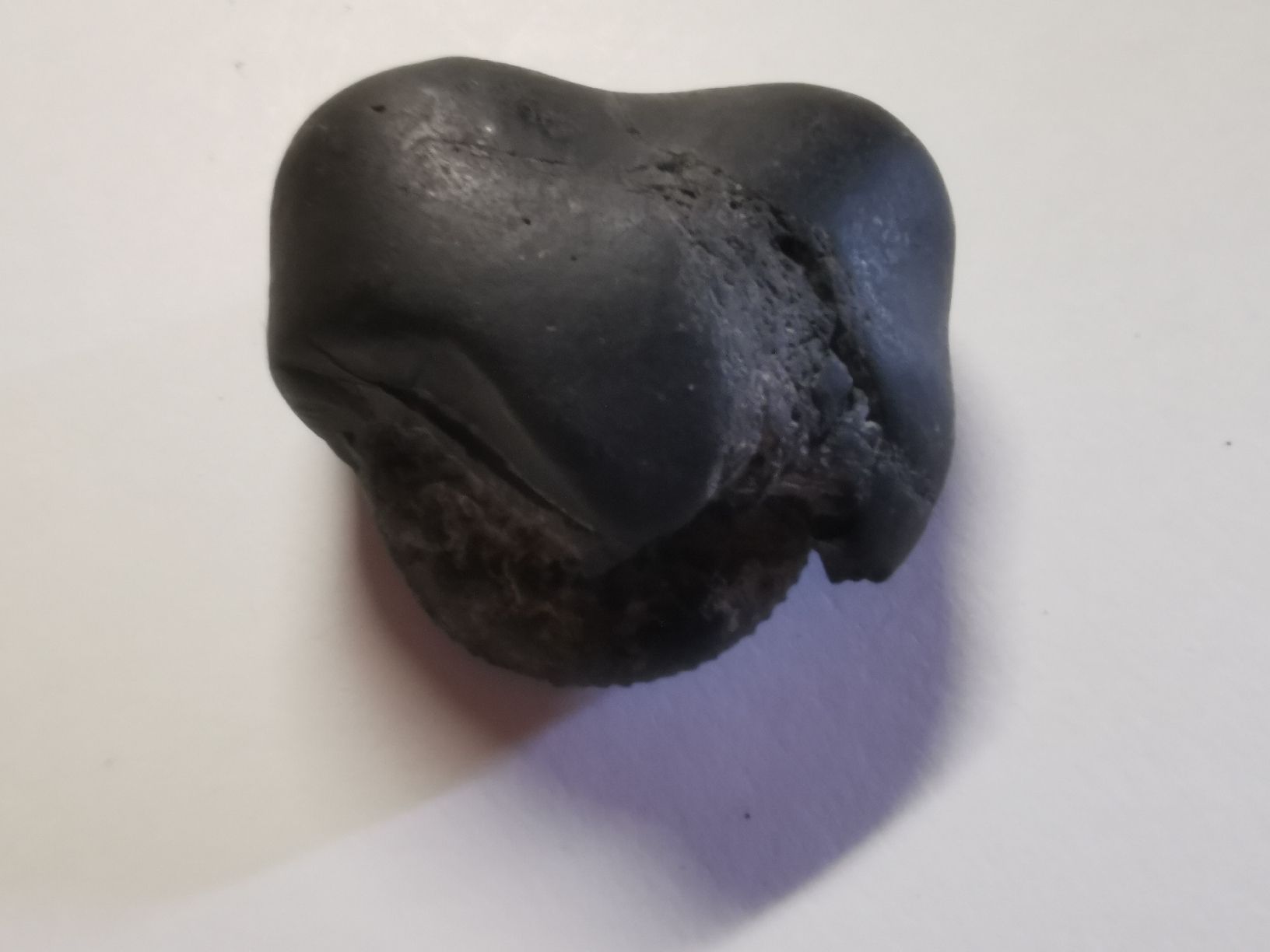 Fossilien: Fossile  noire environ 6 cm. – Gebraucht aus Bulle von pmcavalheiro 3