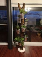 Kräuterbaum/Kleiderständer