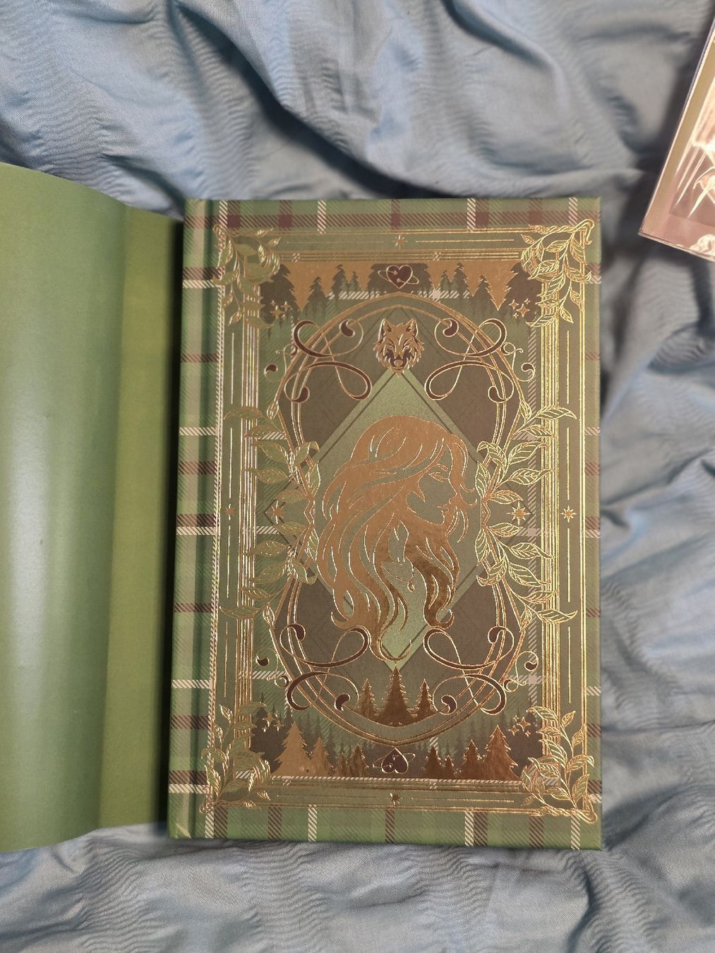 Libri: Buch Mate dreamerwhale – Nuovo e nell'imballaggio originale da Erlen venduto da Noloka_green 2