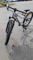 Scott Scale 24 Zoll Mountainbike
