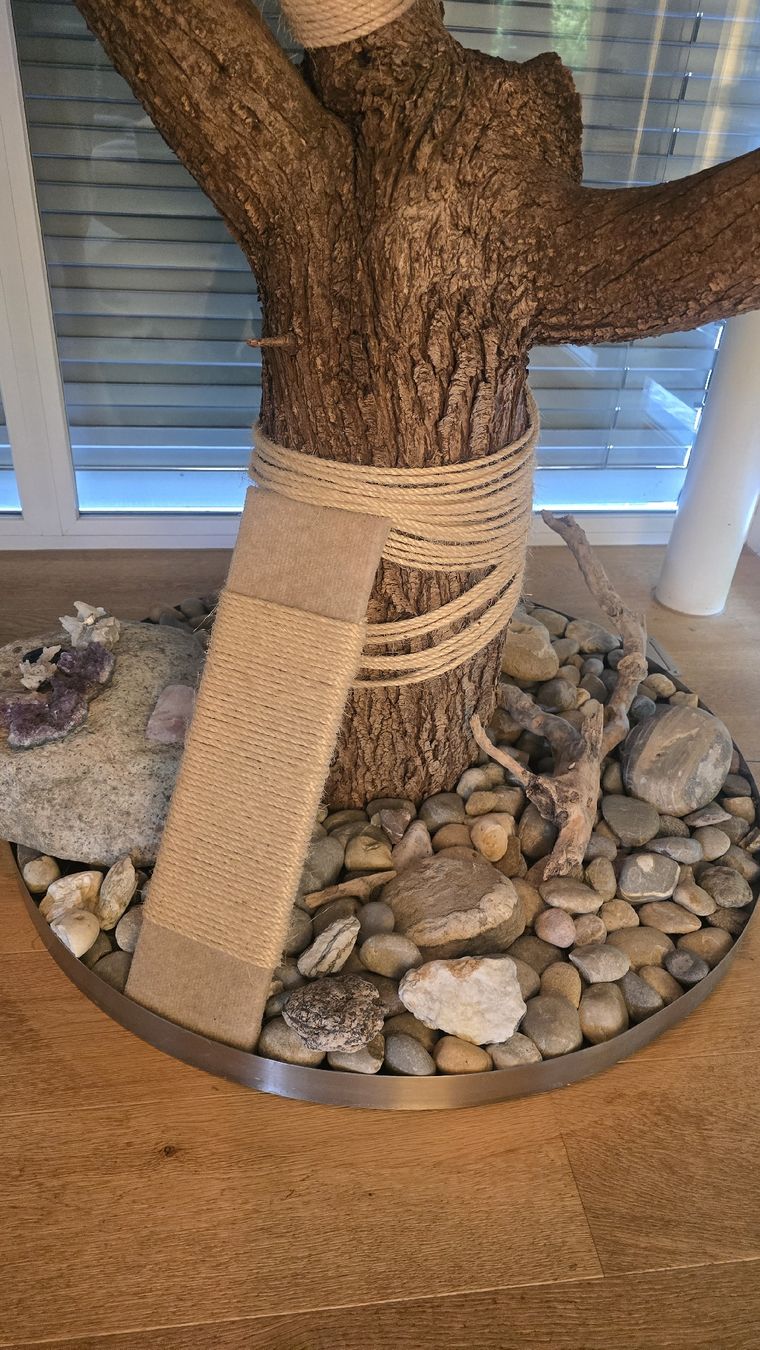 Arbres à chats: Katzenbaum Natur – D'occasion à Buchrain par urs_nq9w 3