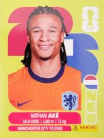 Panini FIFA World Cup NED 7