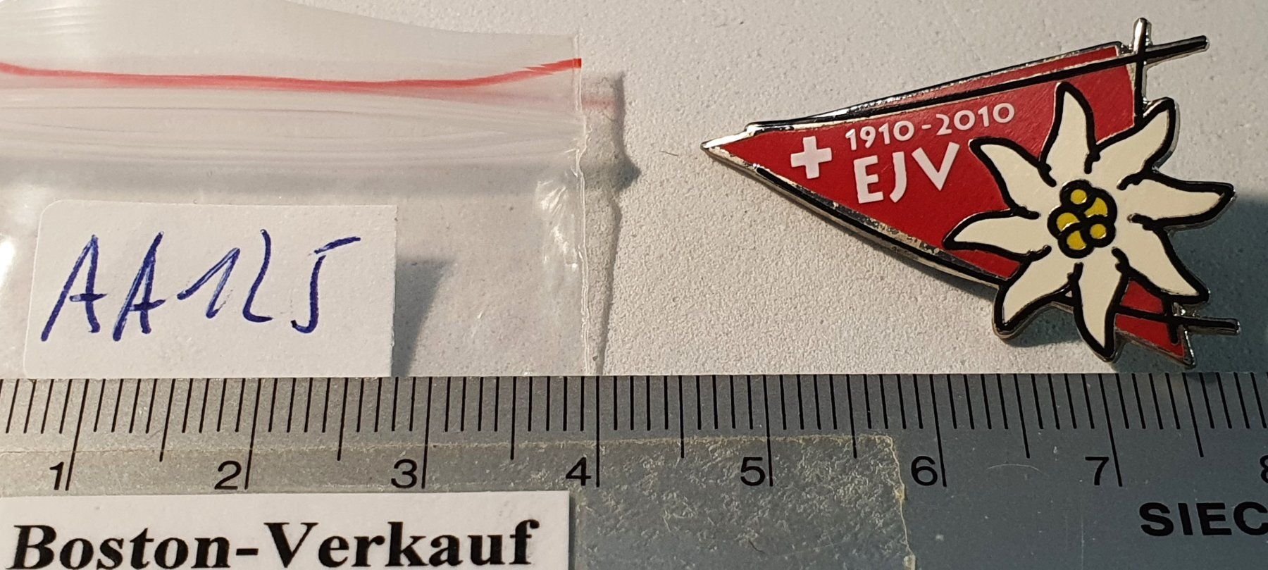 Broches & Aiguilles: AA125  Brosche EJV Eidg. Jodlerverband 1910 - 2010 Edelweiss – D'occasion à Reinach BL par Boston-Verkauf 2