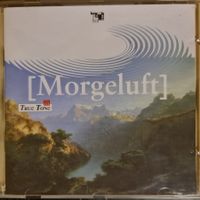 Morgeluft Naturtöne am Vierwaldstättersee