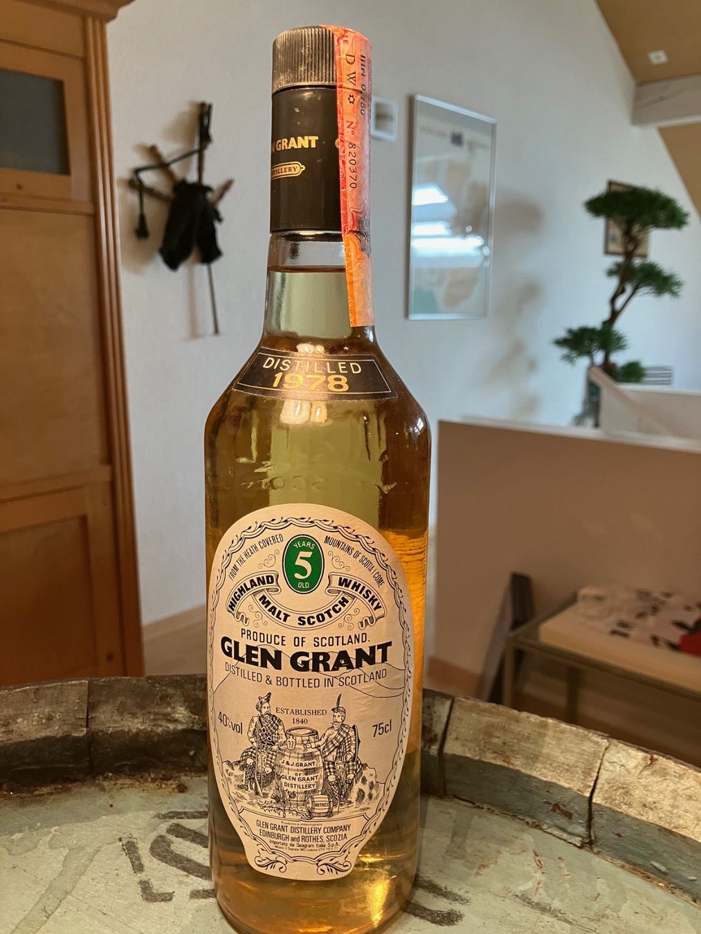 Glen Grant Bevande alcoliche: Glen Grant 5 Years 1978 75cl – Nuovo (secondo la descrizione) da Aarwangen venduto da concorde58