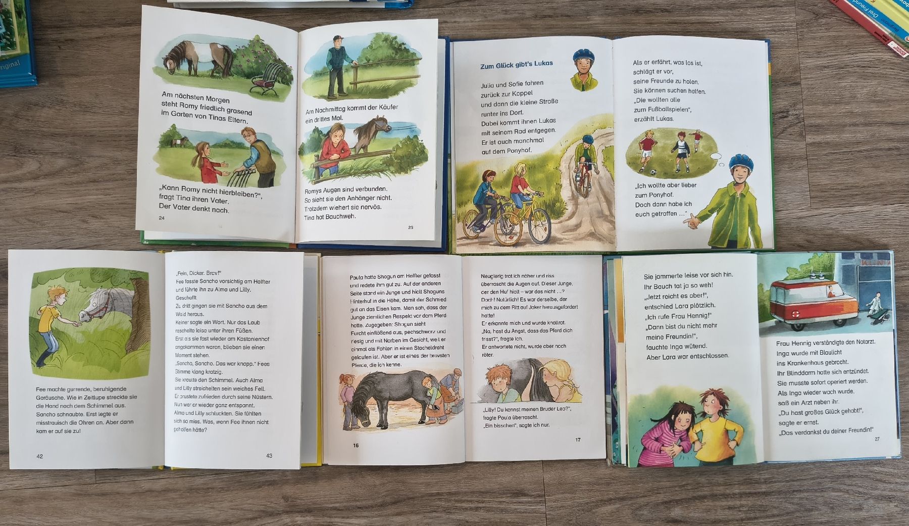 Libri: 5 Lesebücher, Lesestufe 3 – Usato da Neuenkirch venduto da ele99 2