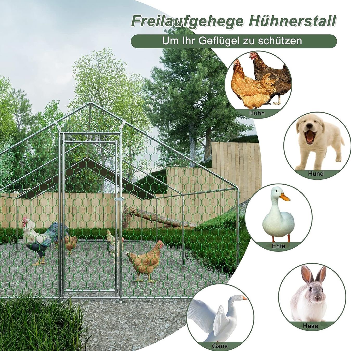 Gabbie, trasporto & Sicurezza: Hühnerstall 3x6x2m Laiham – Nuovo e nell'imballaggio originale da Bottighofen venduto da zaap 5