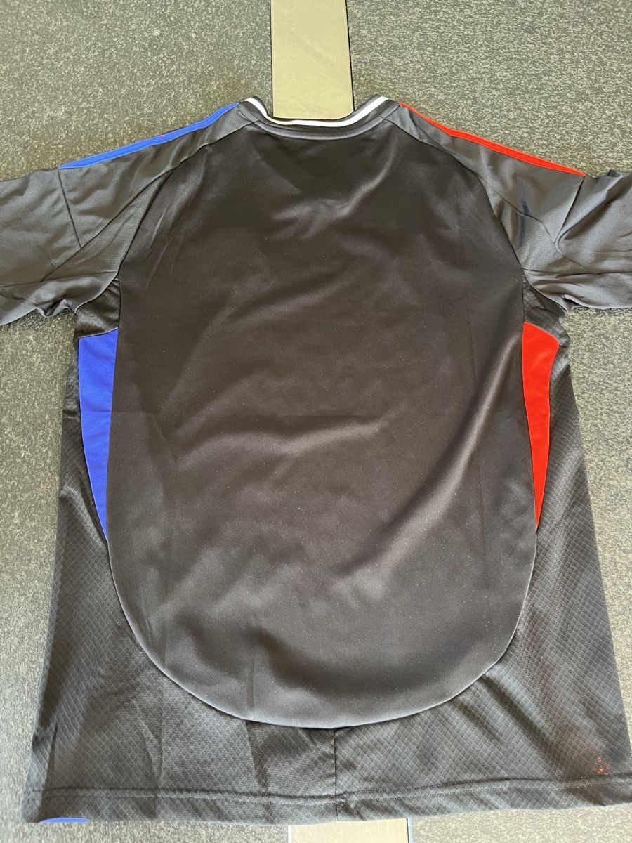 Canottiere & Pantaloni: Olympique Lyon Trikot – Usato da Besenbüren venduto da eri_j8j6 2