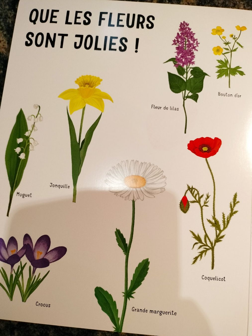 Libri: Dans mon jardin avec de grands flaps en feutrine – Usato da Cortaillod venduto da rozinna 9