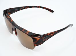Überbrille Polaroid mit schöner Ray-Ban-Box