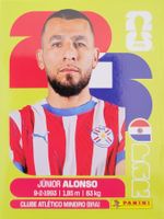 Panini FIFA World Cup PAR 8