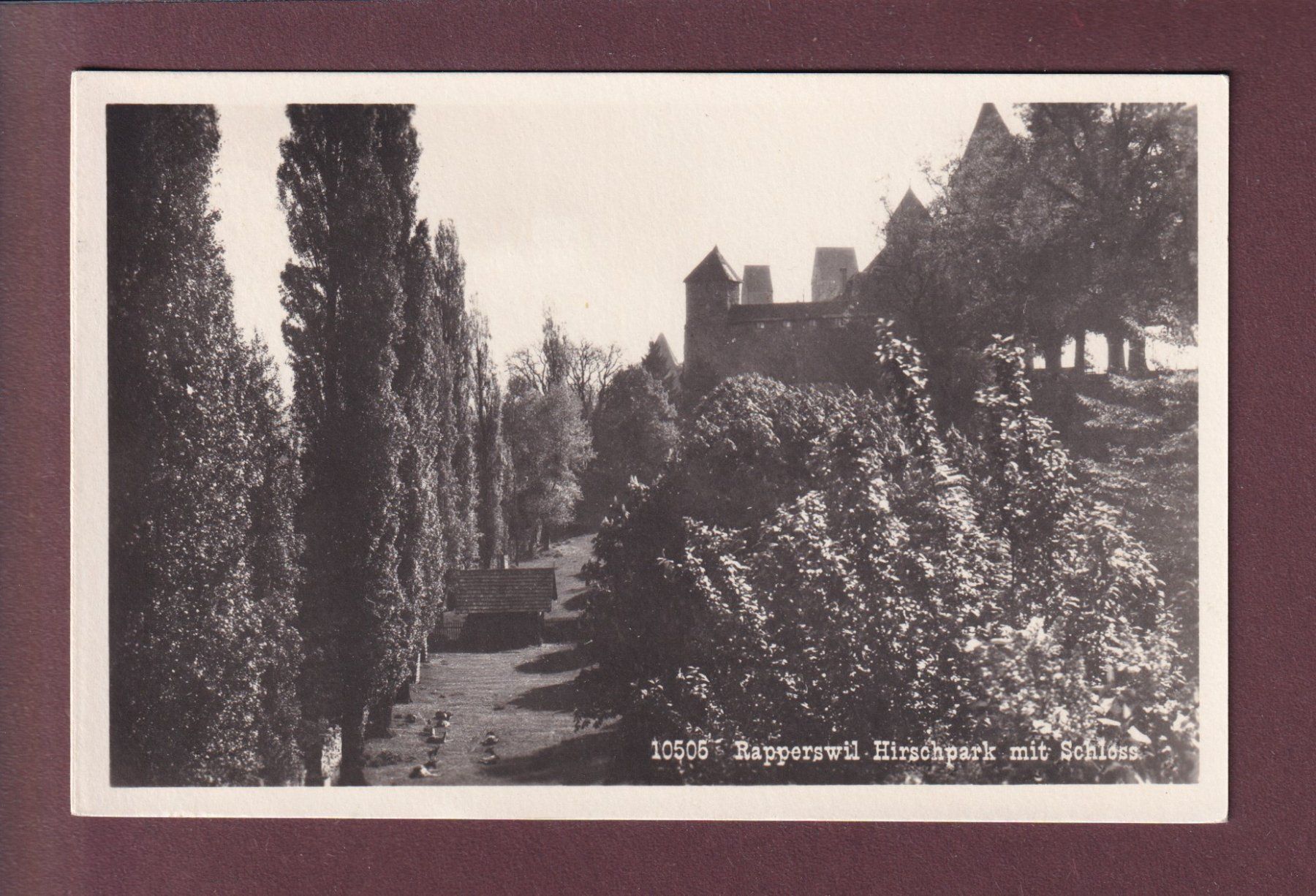 Cartoline postali: RAPPERSWIL - Hirschpark - Schloss - 1937 – Usato da Pully venduto da nicecards